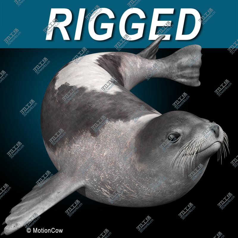 images/goods_img/202104094/Harp Seal  Adult/1.jpg